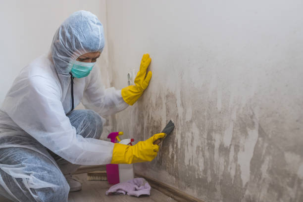 Best Crawl Space Mold Removal  in Vandenberg Village, CA