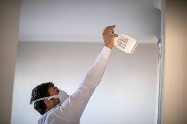 Best Mold Remediation Services  in Vandenberg Village, CA