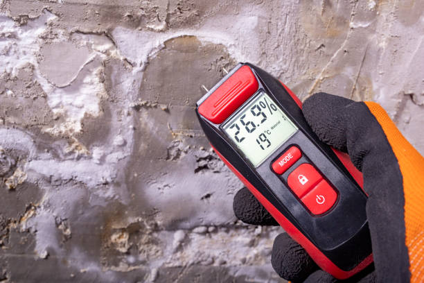 Best Certified Mold Removal  in Vandenberg Village, CA
