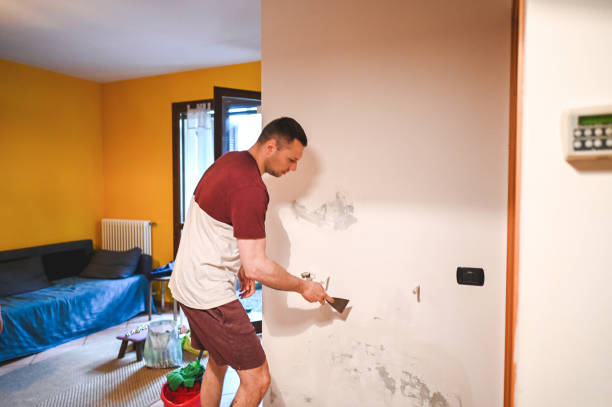 Best Mold Damage Repair  in Vandenberg Village, CA