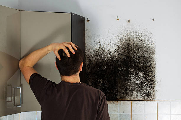 Best Crawl Space Mold Removal  in Vandenberg Village, CA
